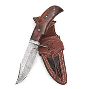 BIGCAT ROAR 10″ Handmade Damascus Hunting Knife with Leather Sheath - Ideal for Skinning, Camping, Outdoor - EDC Fixed Blade Bushcraft Knife with Walnut Wood Handle - Predator Hunter