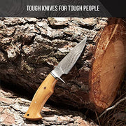 BIGCAT ROAR 10″ Handmade Damascus Hunting Knife with Leather Sheath - Ideal for Skinning, Camping, Outdoor - EDC Fixed Blade Bushcraft Knife with Walnut Wood Handle - Predator Hunter